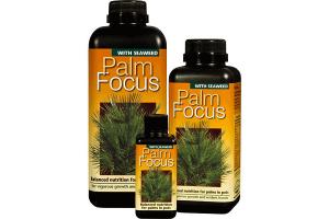 Palm Focus 1000ml